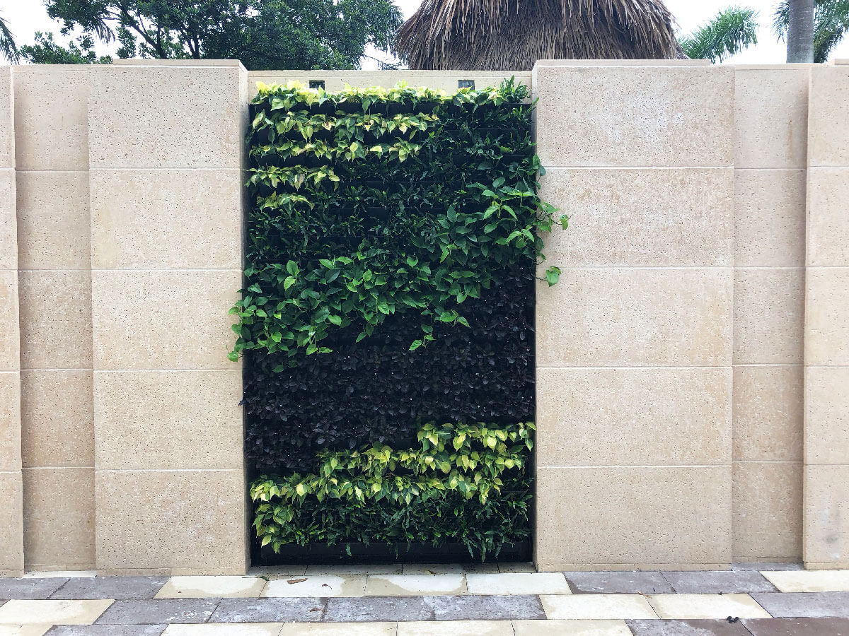 Green Planter Wall at Hard Rock Hollywood