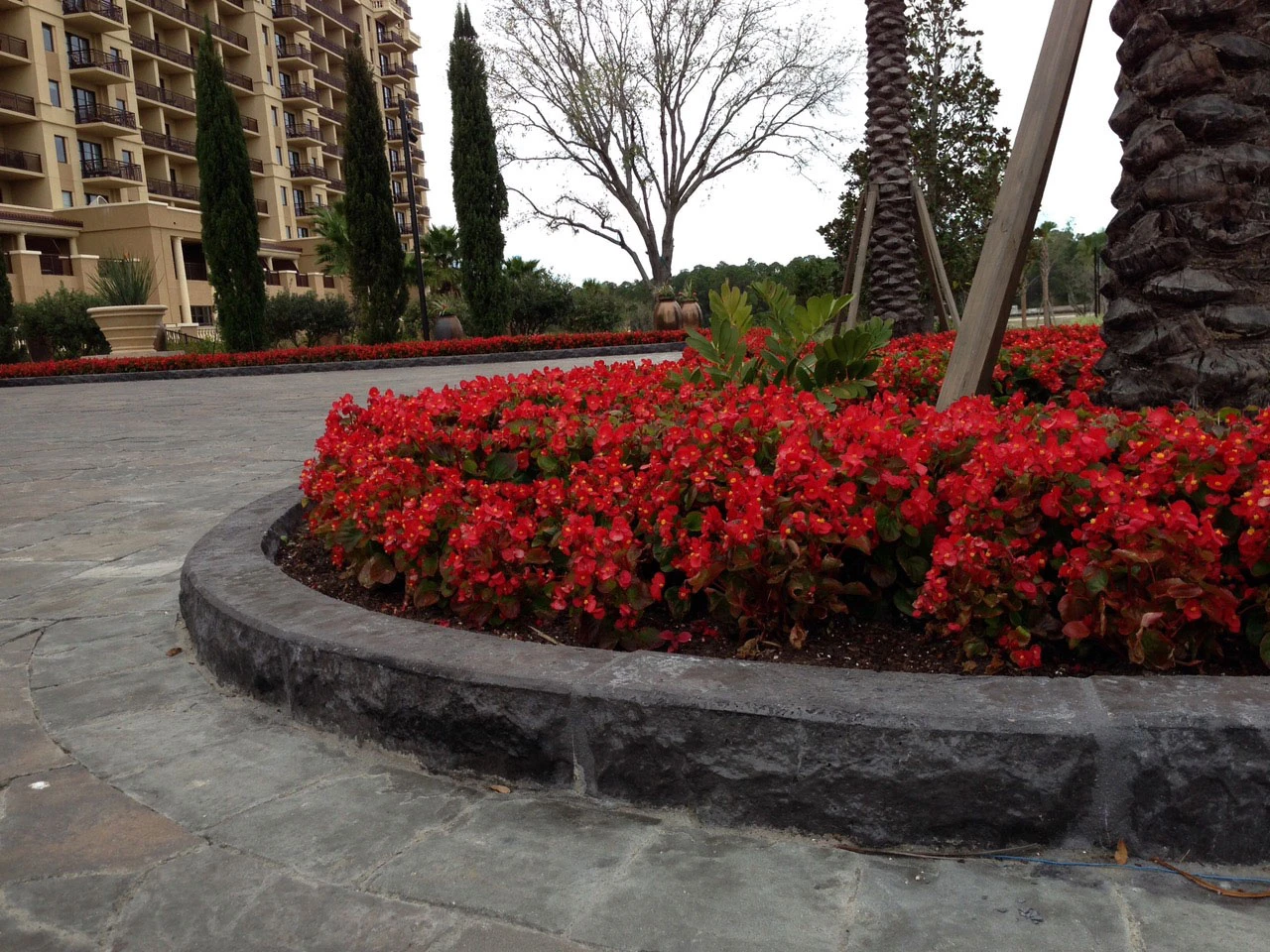 Four Seasons Orlando Motor Court Curb in ChiselStone Texture