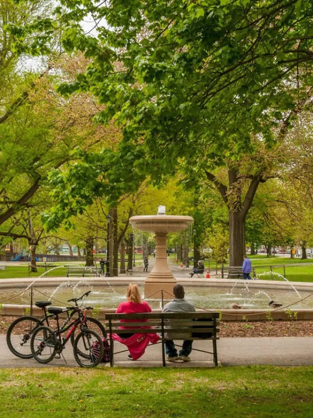 Top 5 Creative Fountain and Water Feature Designs for Outdoor Spaces