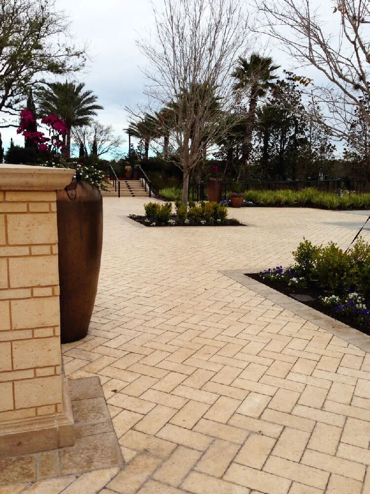 Four Seasons Orlando Herringbone Pattern with Borders Field Color Villa M Border Color Double Cappuccino