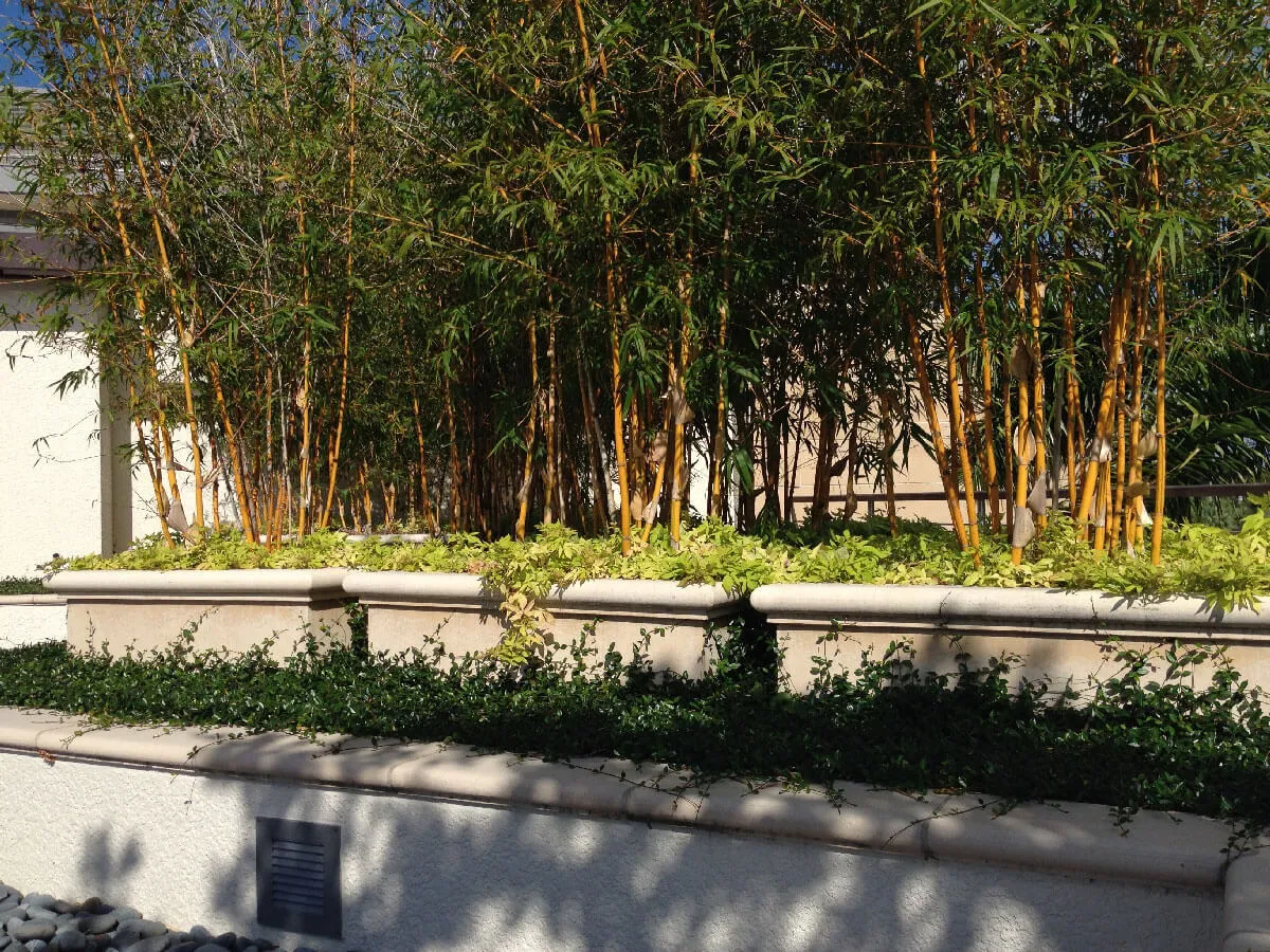 Moorings Roof Top Planters