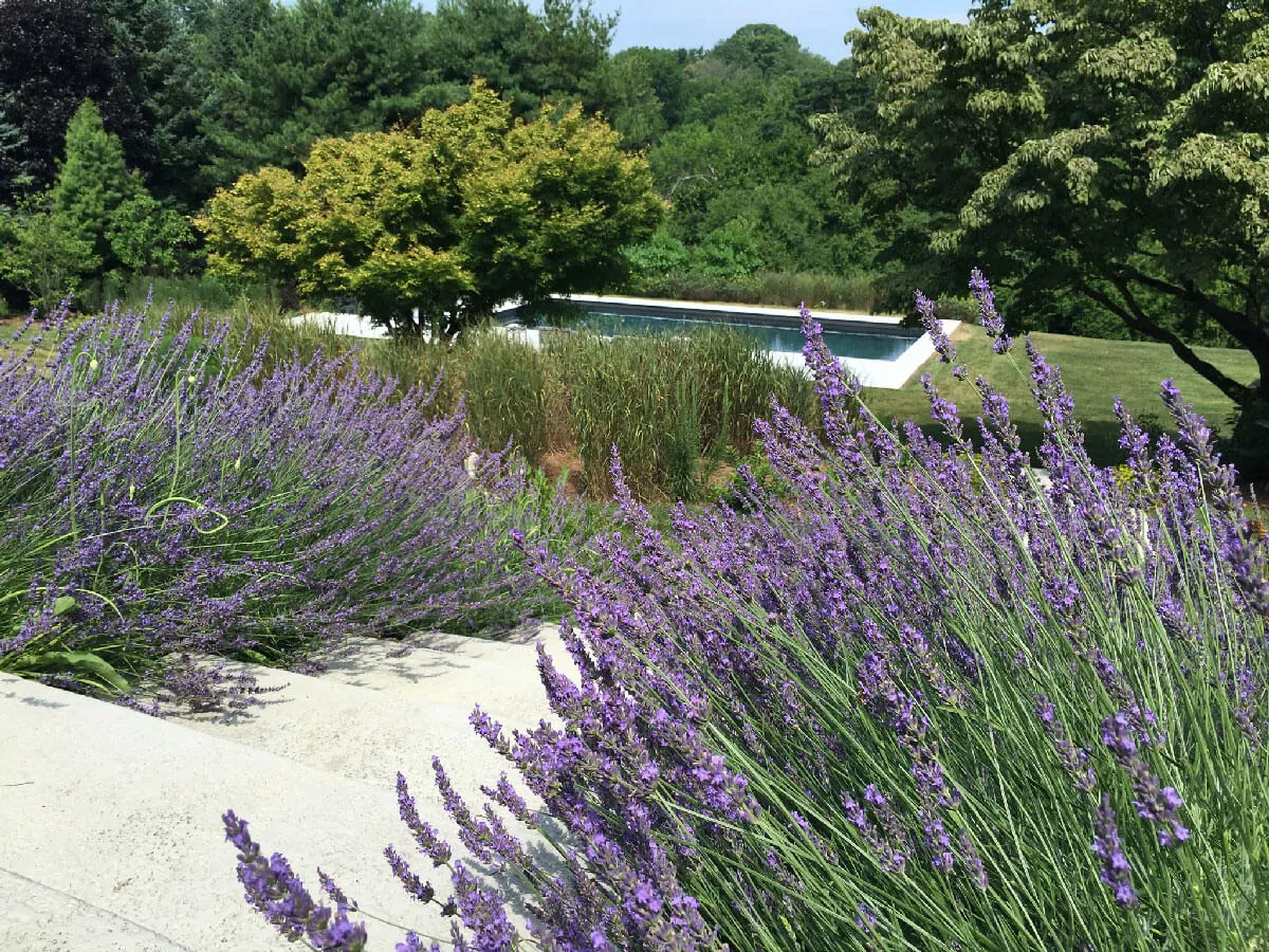 Pennsylvania Residential Pool