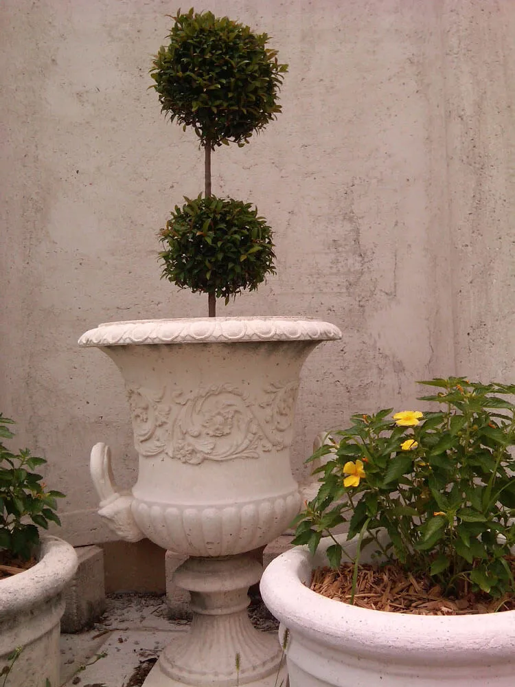 Italia Urn
