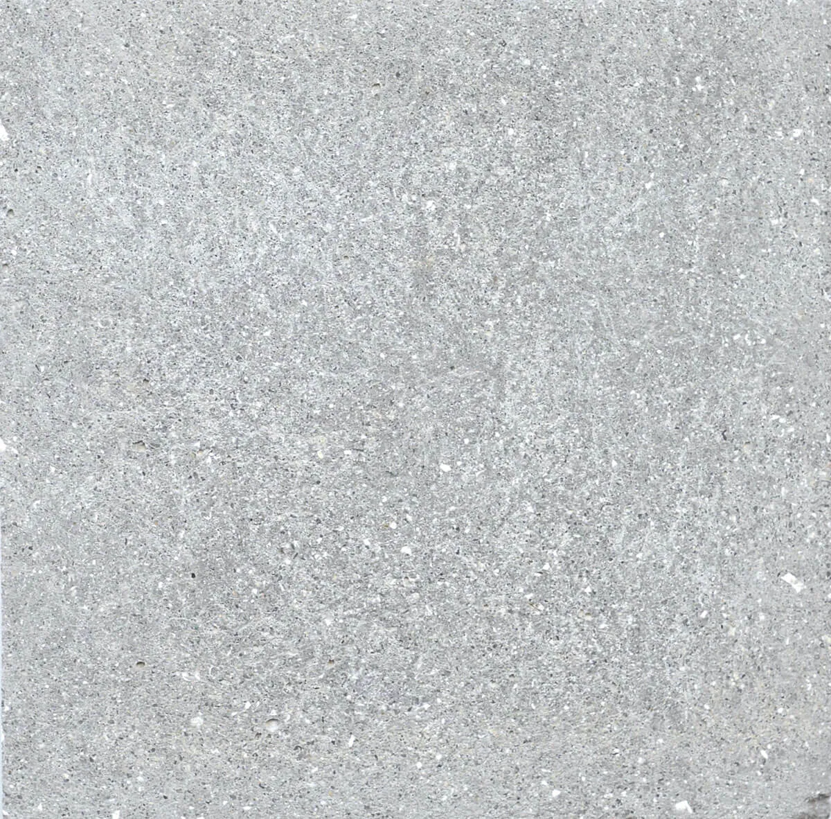 0022 Dolphin Acid Wash