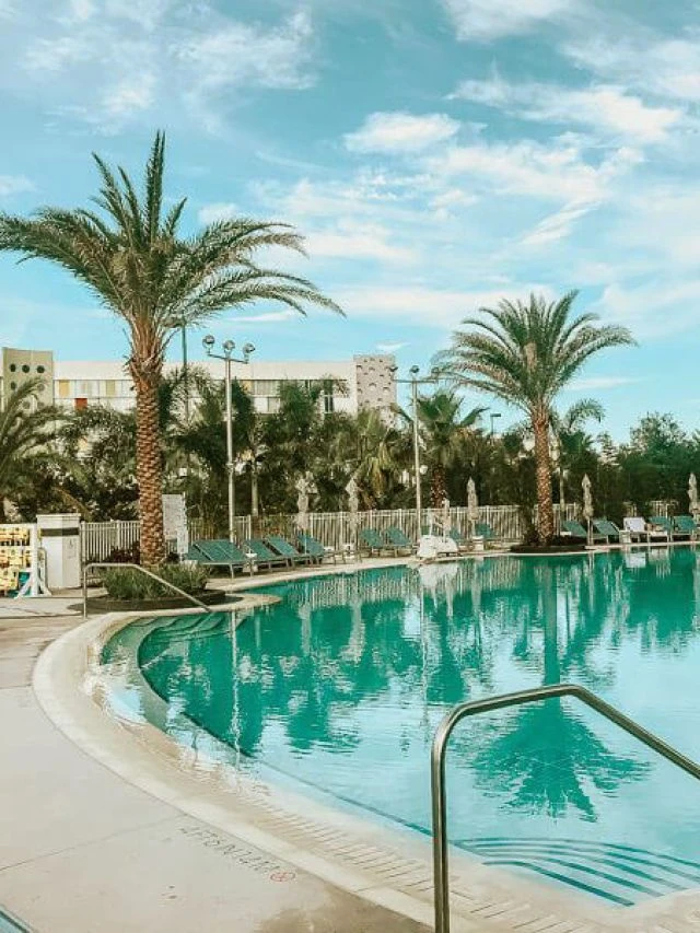 A Guide to Selecting the Right Pool Shape for Your Space