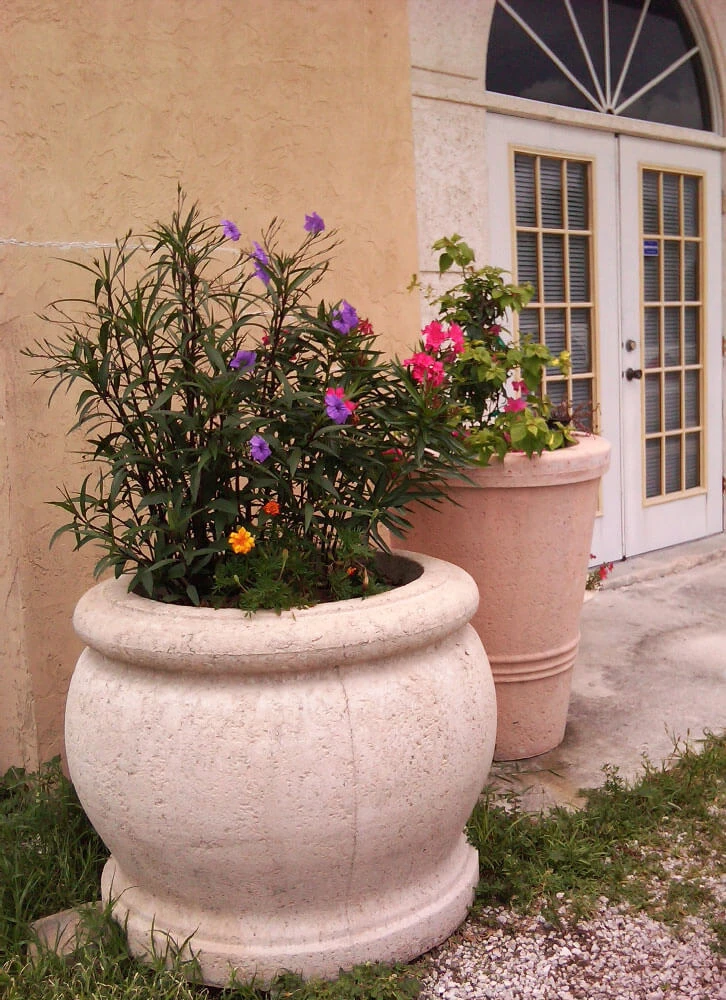 Brighton and Holmes Pots