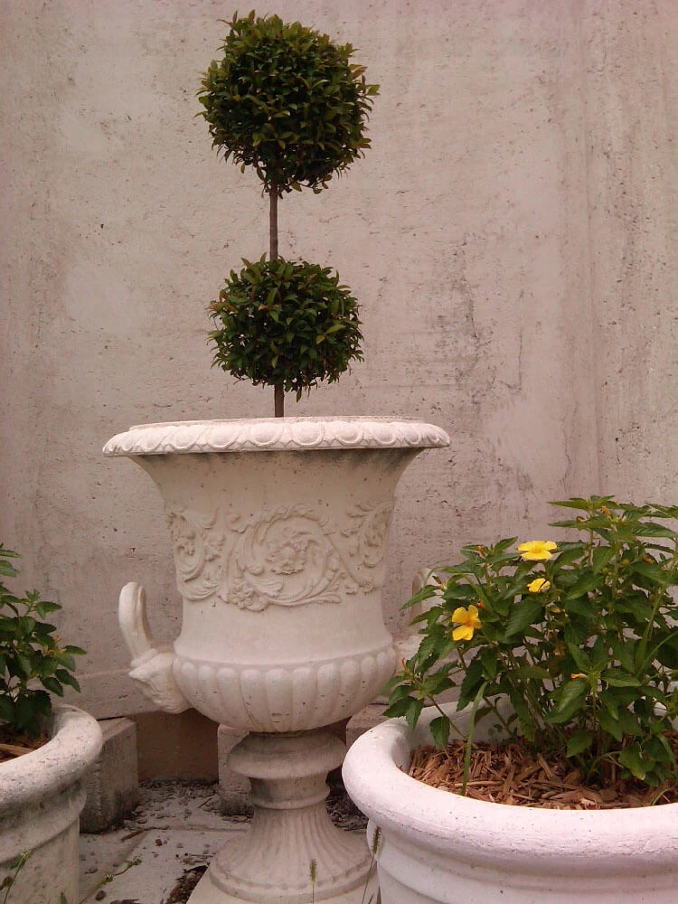 Italia Urn