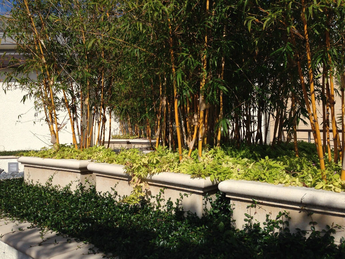 Moorings Park Planters Fiddlesticks Color Acid Wash