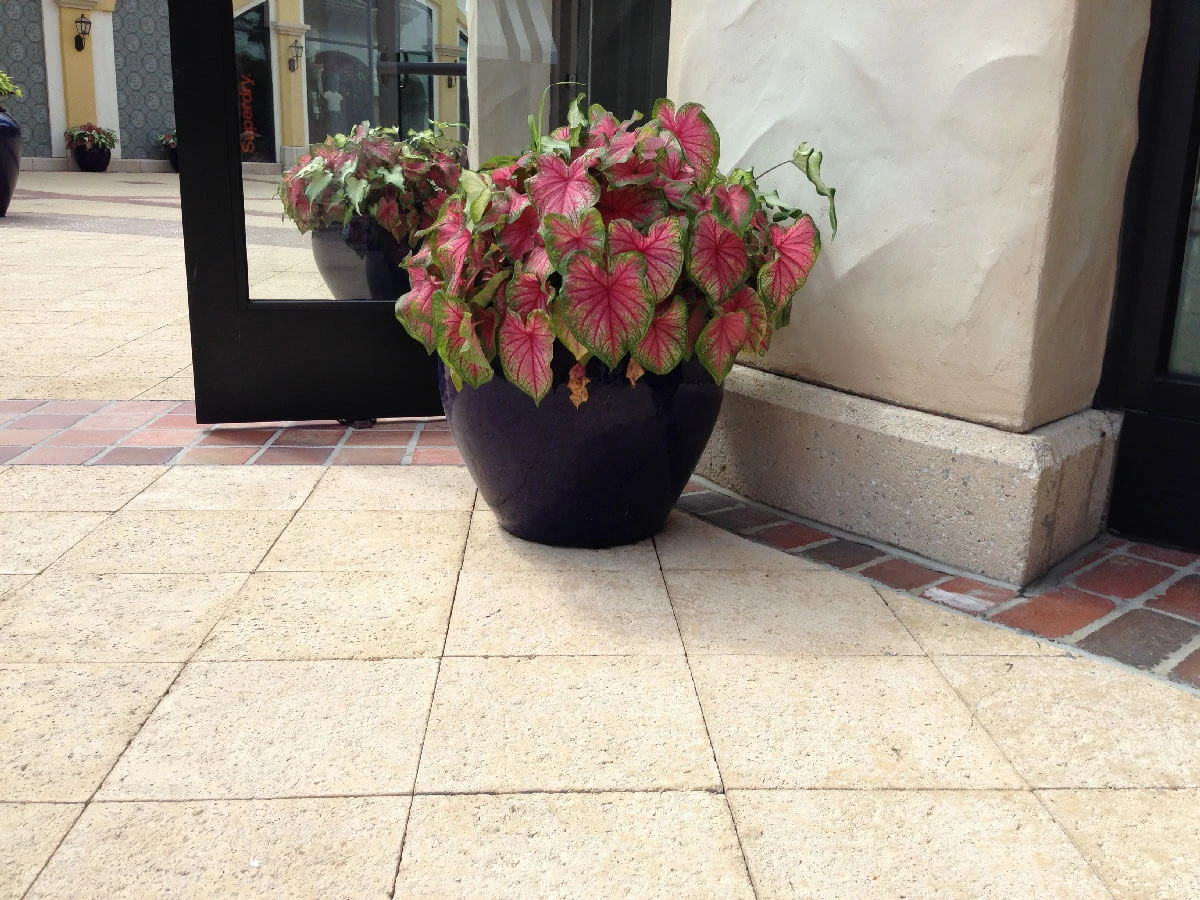 Pavers Rico Color