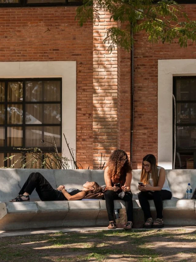 7 Premium Picks for Precast Concrete Furnishings