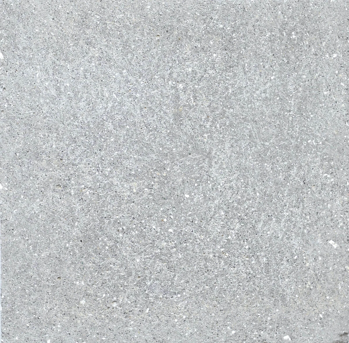 0022 Dolphin Acid Wash
